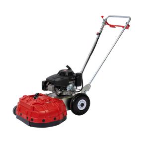 Bensindriven mossborttagare